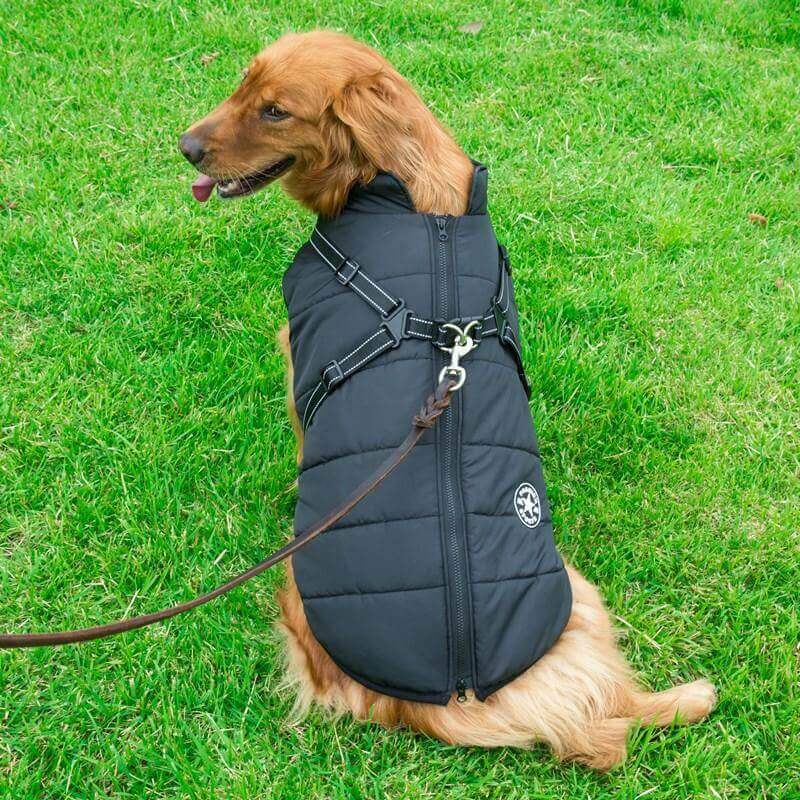 Dog Winter Jacket