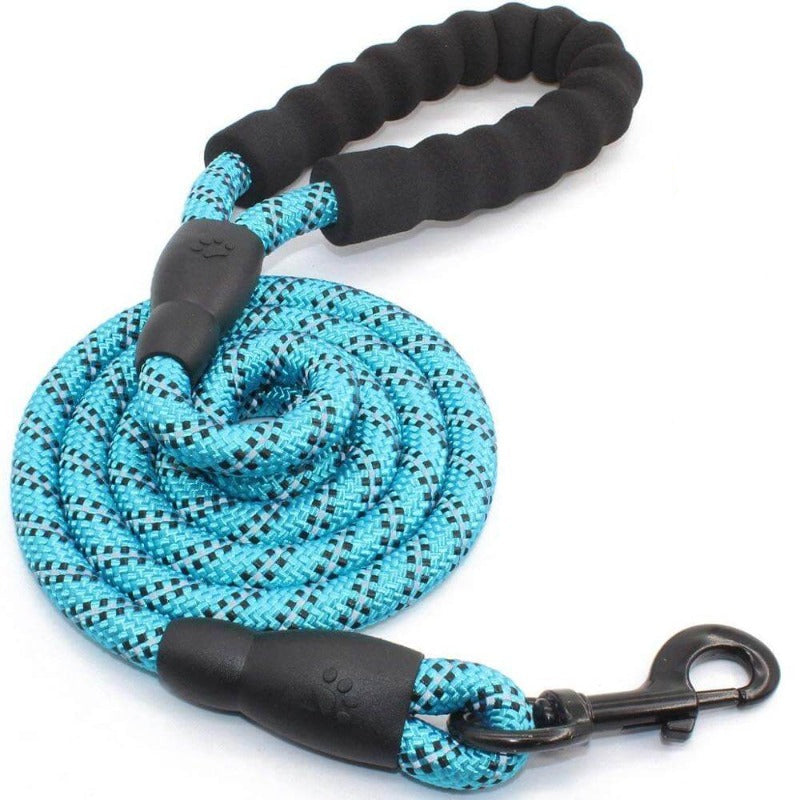 Premium Dog Leash