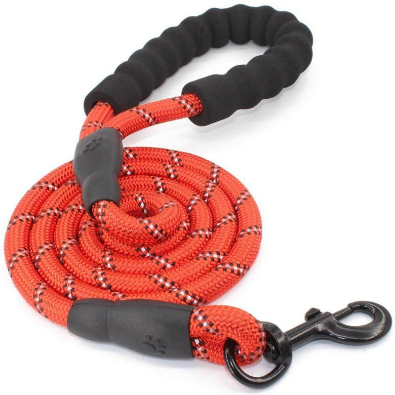 Dog Leash