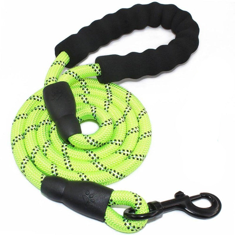 Premium Dog Leash