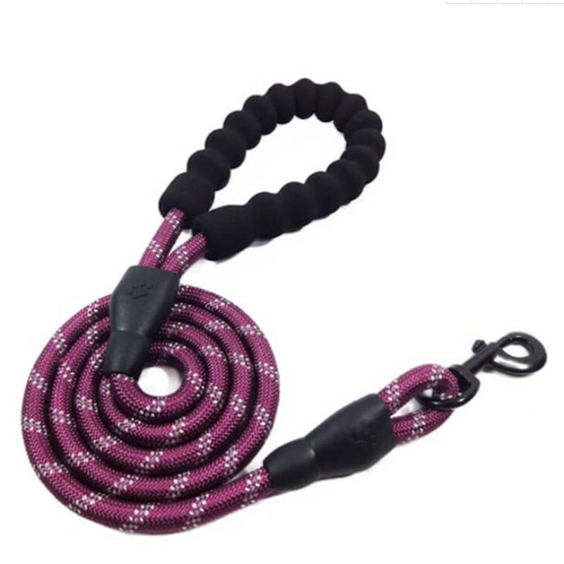 Dog Leash