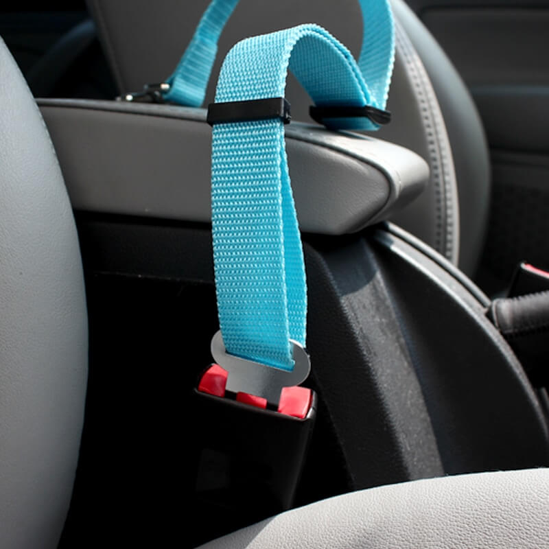 Car Safety Belt for your Dog