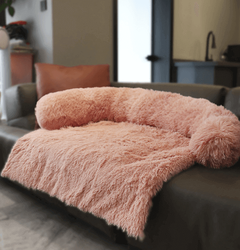 Sofa Bed (Furniture Protector)