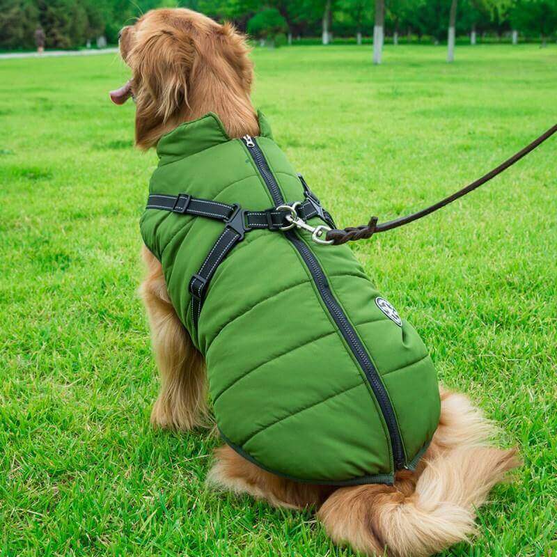 Dog deals restraint jacket