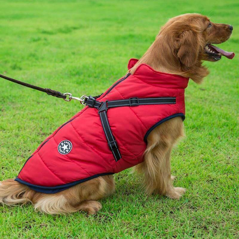 Dog Winter Jacket