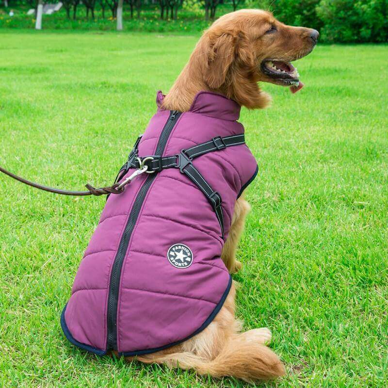 Dog Winter Jacket